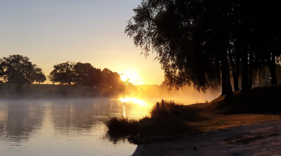 Brume sur le Lac Plaisance